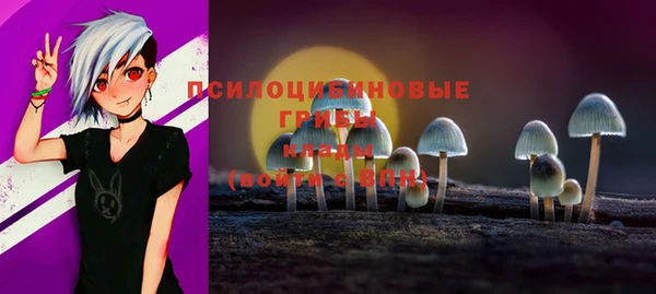 mix Алексеевка