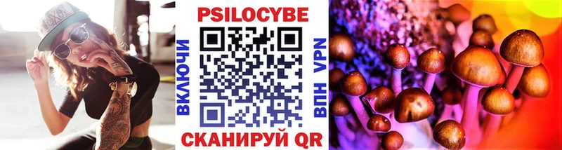 Псилоцибиновые грибы Cubensis  цена   ссылка на мегу ONION  Анжеро-Судженск 